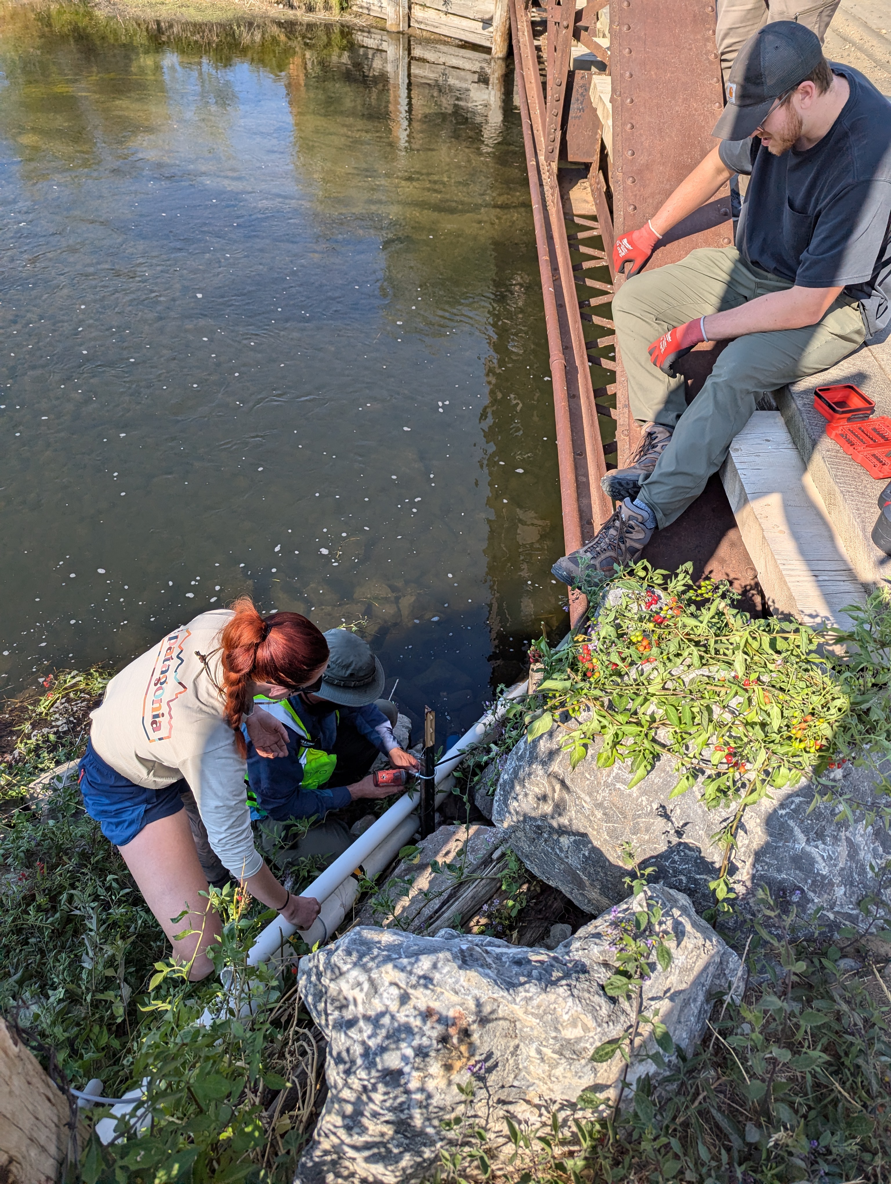 Installing the sensor array at the riverbank — just below the bridge footing